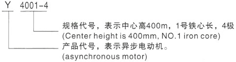 西安泰富西玛Y系列(H355-1000)高压YJTFKK5601-2-1400KW三相异步电机型号说明