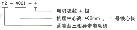 YR系列(H355-1000)高压YJTFKK5601-2-1400KW三相异步电机西安西玛电机型号说明